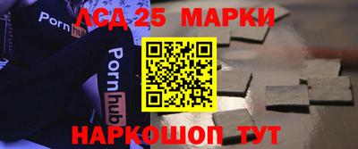 МДПВ Будённовск