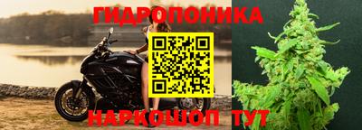 МДПВ Будённовск