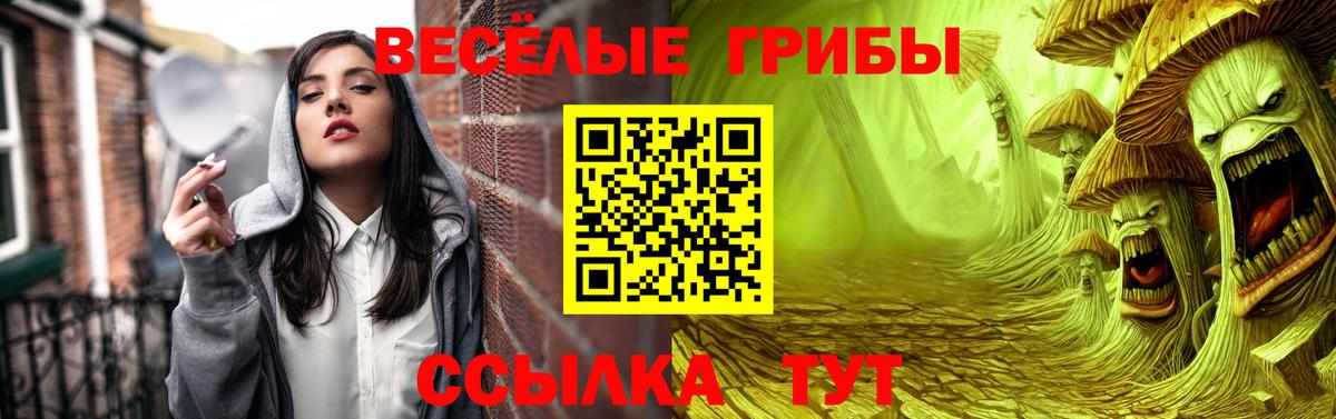 Галлюциногенные грибы Cubensis  Вход с VPN  сколько стоит  Холмск  Псилоцибиновые грибы GOLDEN TEACHER 
